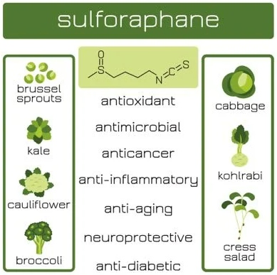 Broccoli Powder Sulforaphane Benefits.jpg